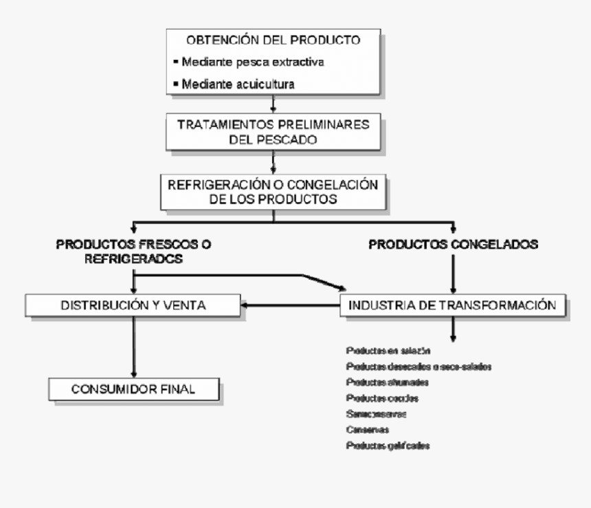 Proceso Productivo De La Industria Pesquera, HD Png Download - kindpng