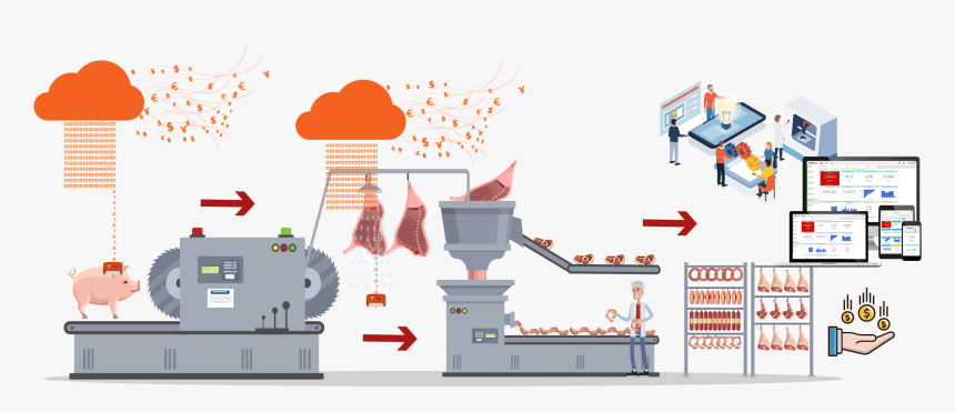 Proceso De Producción De Carne , Png Download - Slaughtering Process Diagram Cartoon, Transparent Png, Free Download