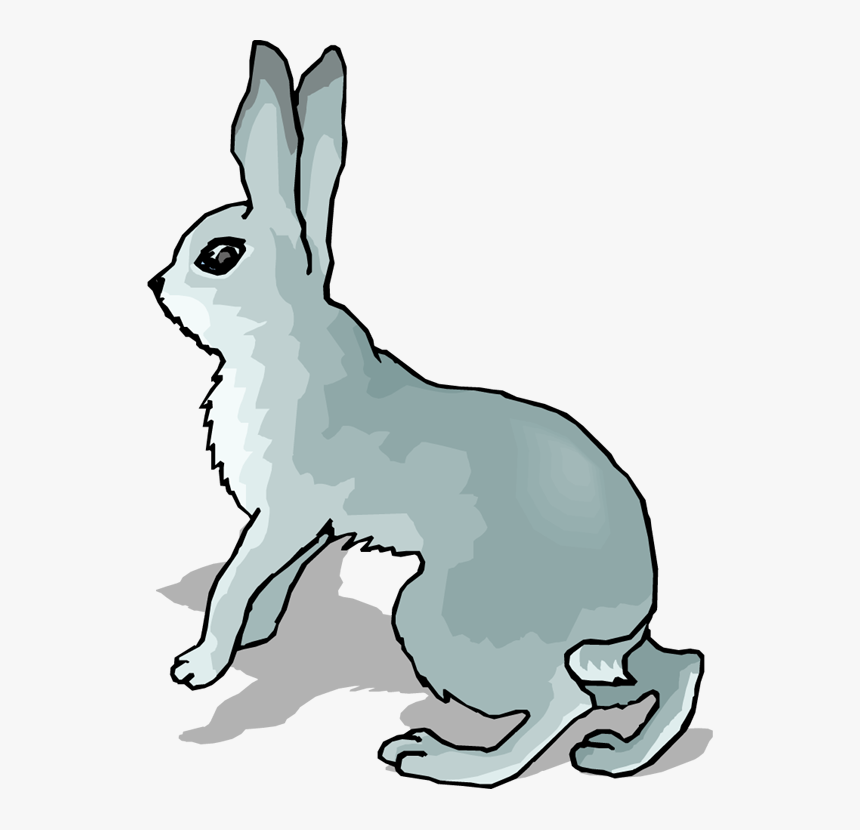 Arctic Hare Snowshoe Hare European Hare Clip Art - Transparent Rabbit Clipart Gif, HD Png Download, Free Download