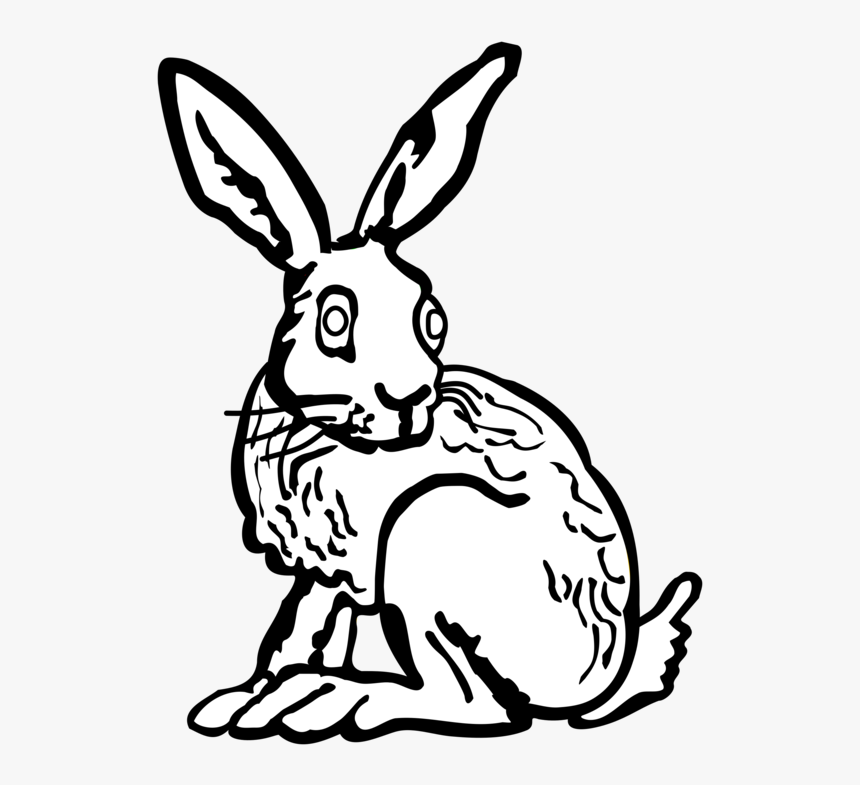 Transparent Hare Png - Rabbit Draw Art, Png Download, Free Download