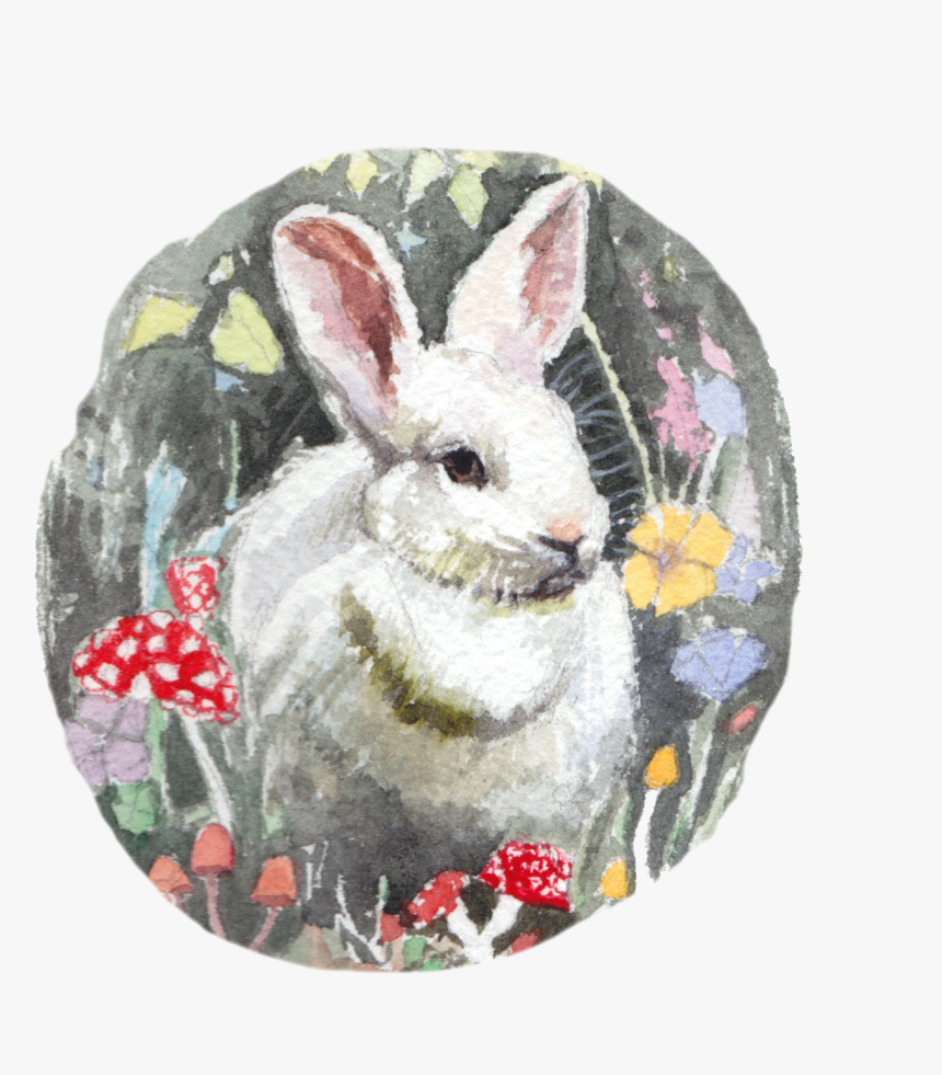 Snowshoe Hare , Png Download - Snowshoe Hare, Transparent Png, Free Download