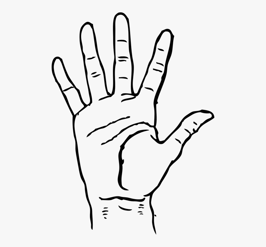 Palm, Hand, Human, Fingers, Five, Gesture, 5, Count - Clip Art Hand, HD Png Download, Free Download