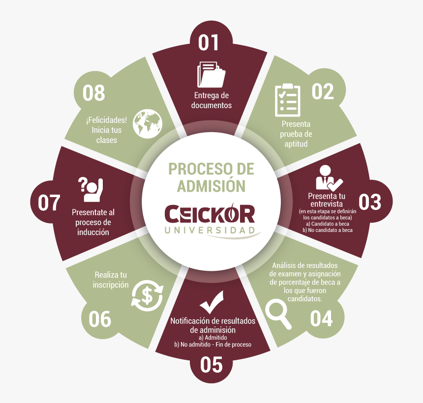 Ceickor Proceso De Admision - Branding Services In Uae, HD Png Download, Free Download