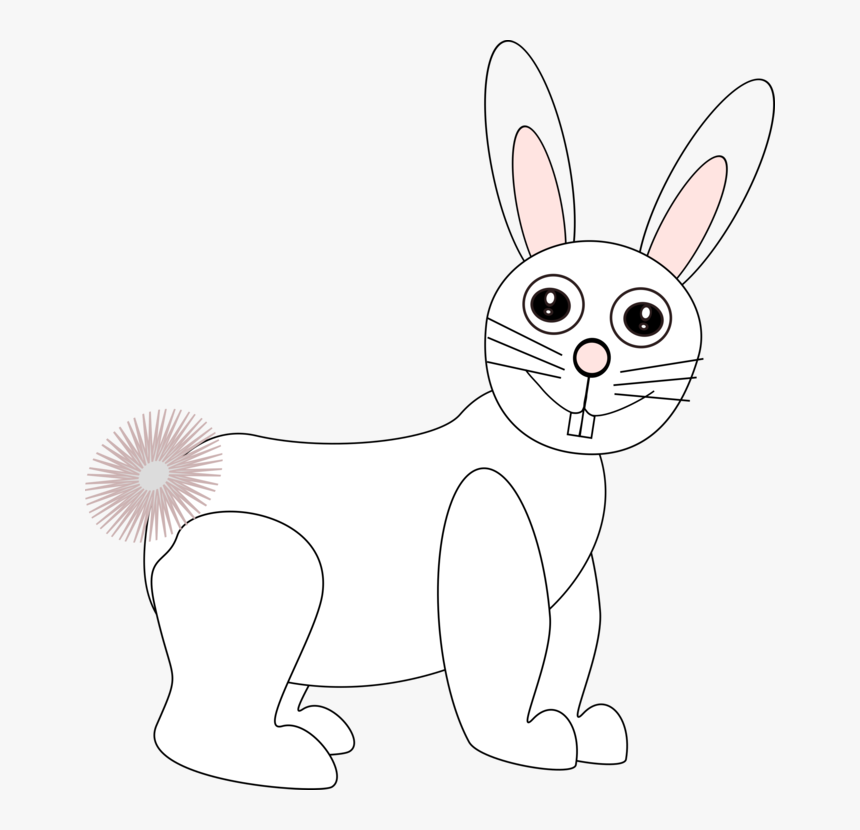 Rabits And Hares,carnivoran,hare - Domestic Rabbit, HD Png Download, Free Download