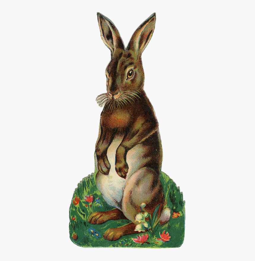 Antique Hare Illustration Rabbit Easter Bunny Clipart - Rabbit Face Vintage Illustration, HD Png Download, Free Download