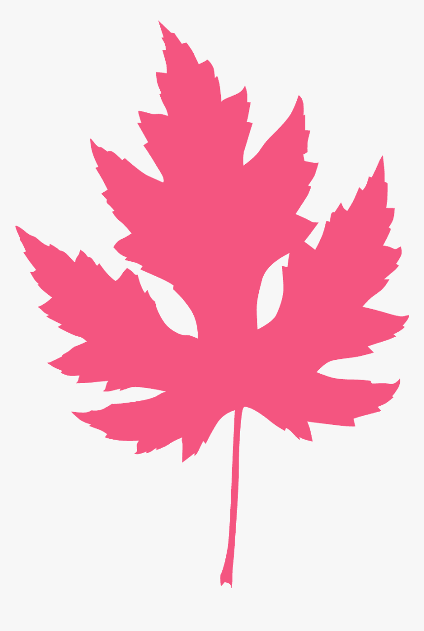 Silver Maple Leaf Silhouette, HD Png Download, Free Download