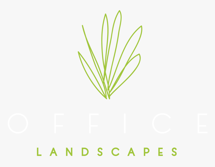 Brand Identity, Graphic Design, And Print For Office - Grass, HD Png Download, Free Download