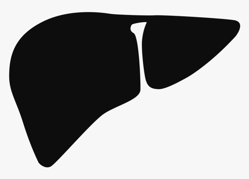 Failure Computer Liver Icons Free Hd Image Clipart - Liver Noun Project, HD Png Download, Free Download