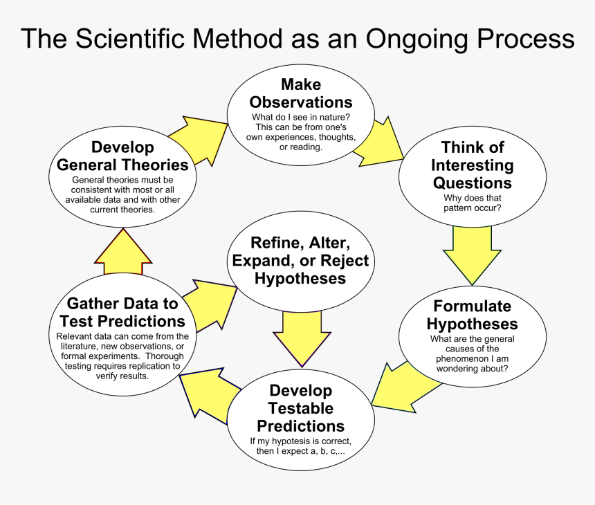 High School 7th Grade Scientific Method, HD Png Download, Free Download