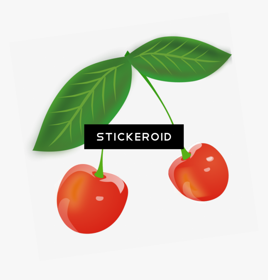 Red Cherry Clipart , Png Download, Transparent Png, Free Download