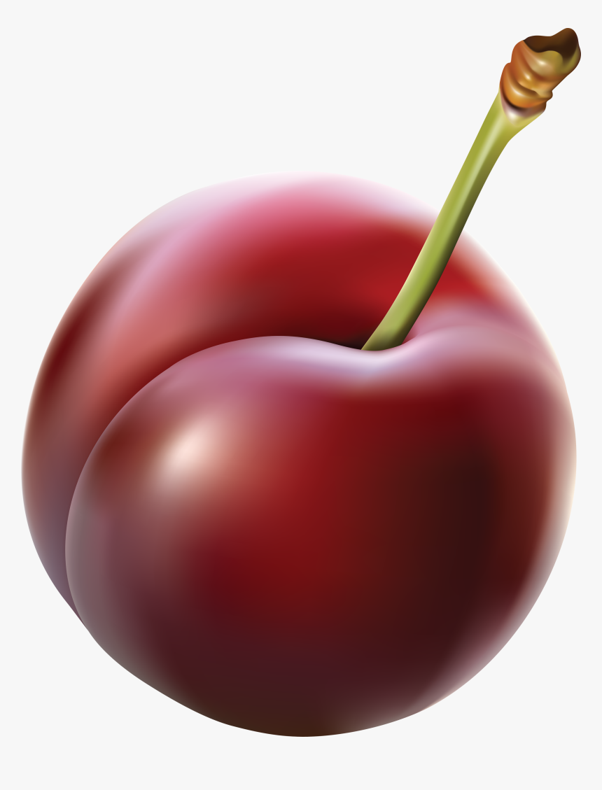 Plum - Plum Clipart Png, Transparent Png, Free Download