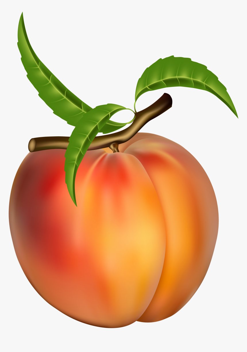 Free Z Lds G - Peach Fruit Clipart, HD Png Download, Free Download