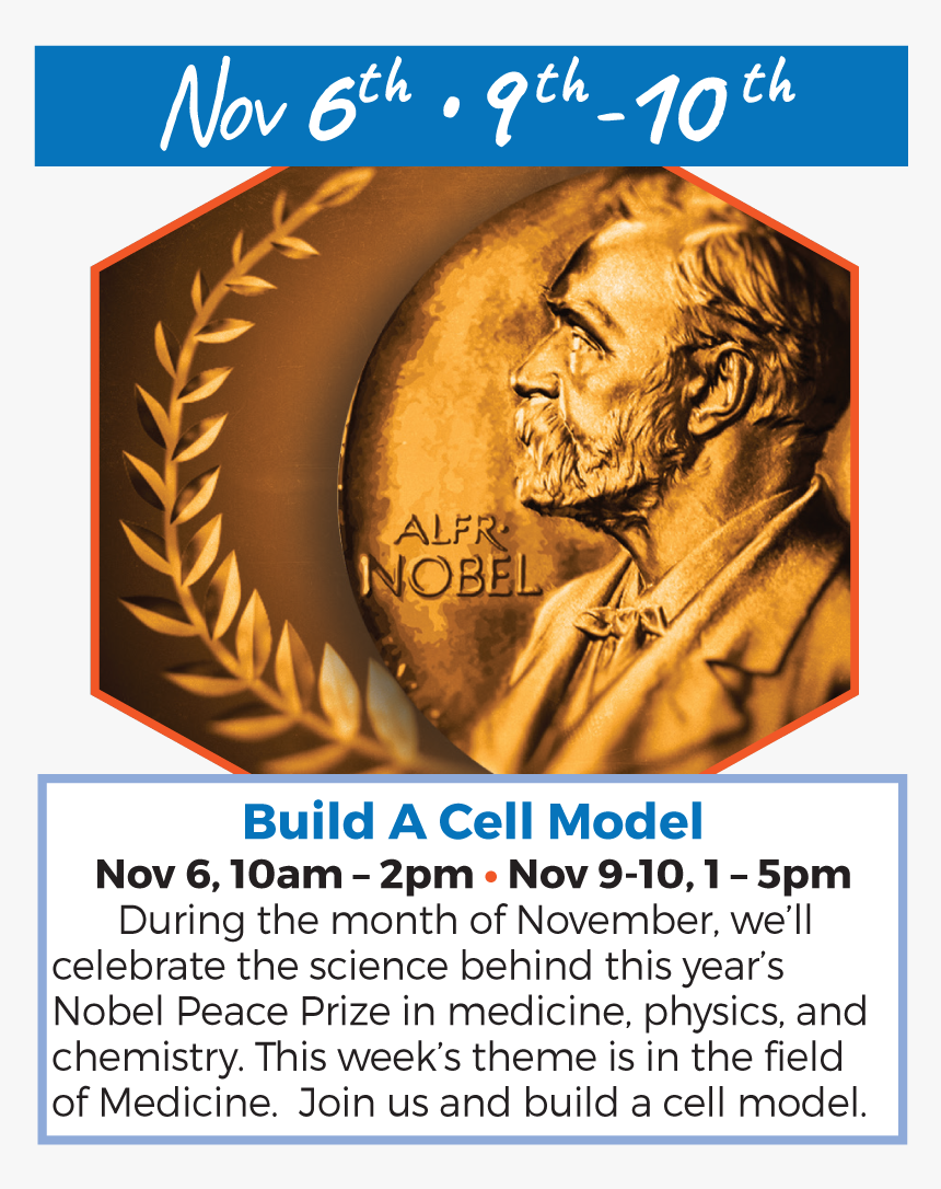 Nov 6 9 10 Explorium November Flyer - Nobel Prize Economics, HD Png Download, Free Download