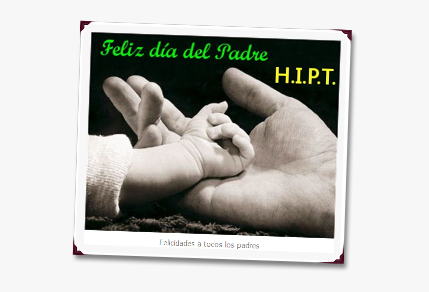 Childs Hand In Fathers Hand, HD Png Download, Free Download