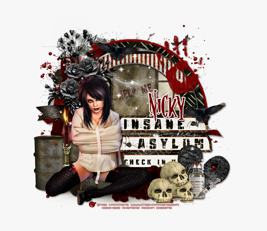 Photo Insane - Butterfly White Background, HD Png Download, Free Download