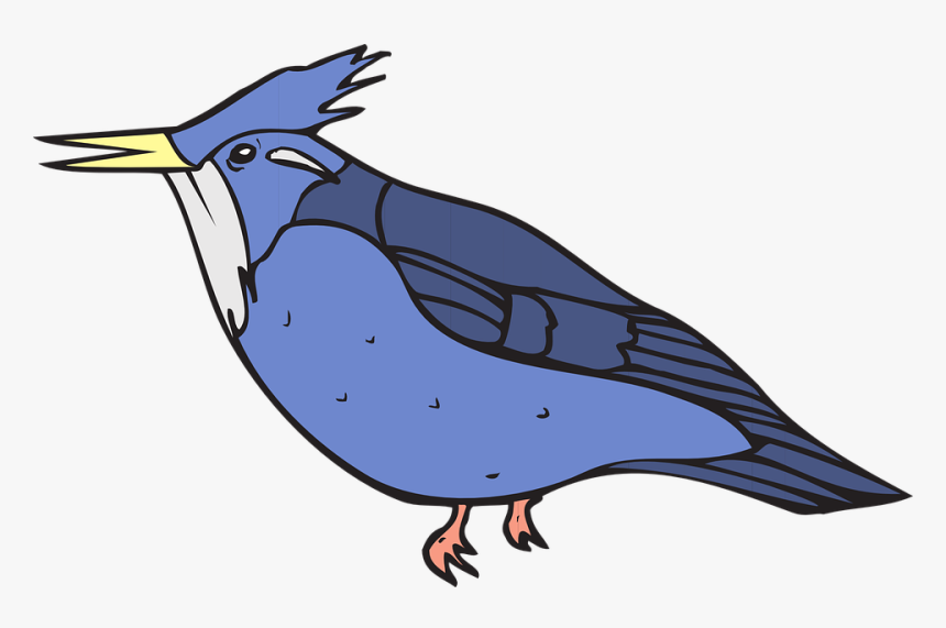 Blue Bird Wings - Transparent Drawn Steller Jay, HD Png Download, Free Download