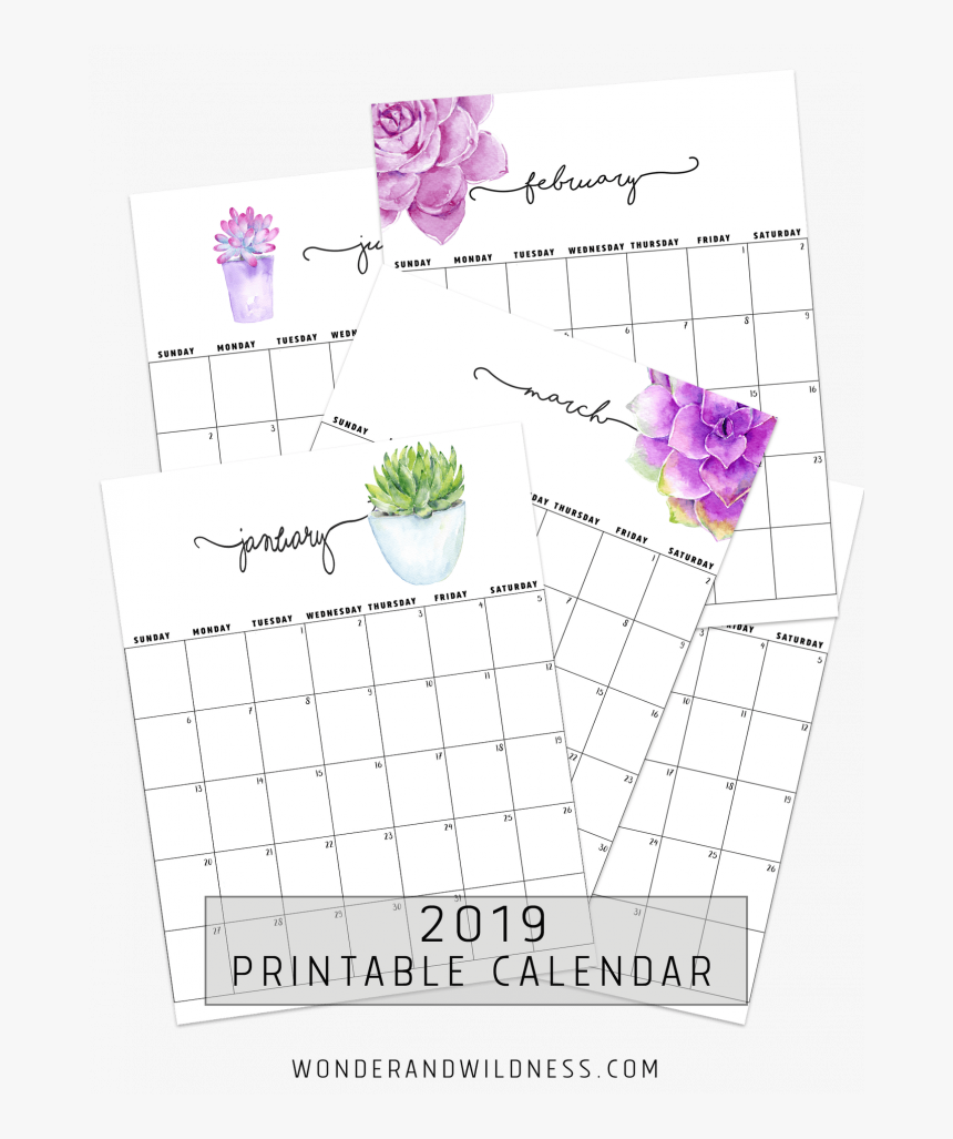 2019 Printable Succulent Calendar, HD Png Download, Free Download
