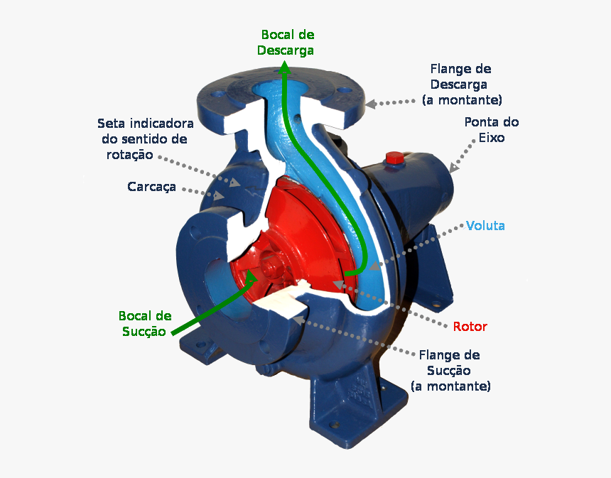 Centrifugal Pump Pt - Centrifugal Pump Cut Section, HD Png Download, Free Download