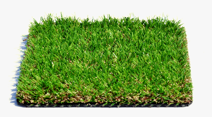 Grass Floor Png - Lawn, Transparent Png, Free Download