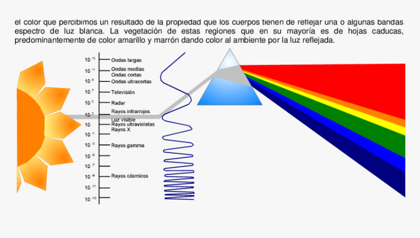 El Espectro Luminoso Y Los Límites De La Luz Visible - Colores Del Espectro Luminoso, HD Png Download, Free Download