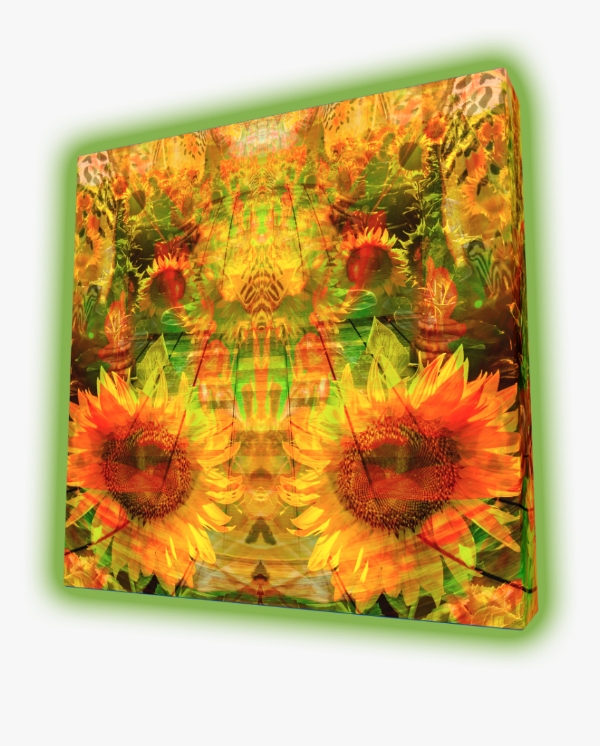 Sunflower, HD Png Download, Free Download