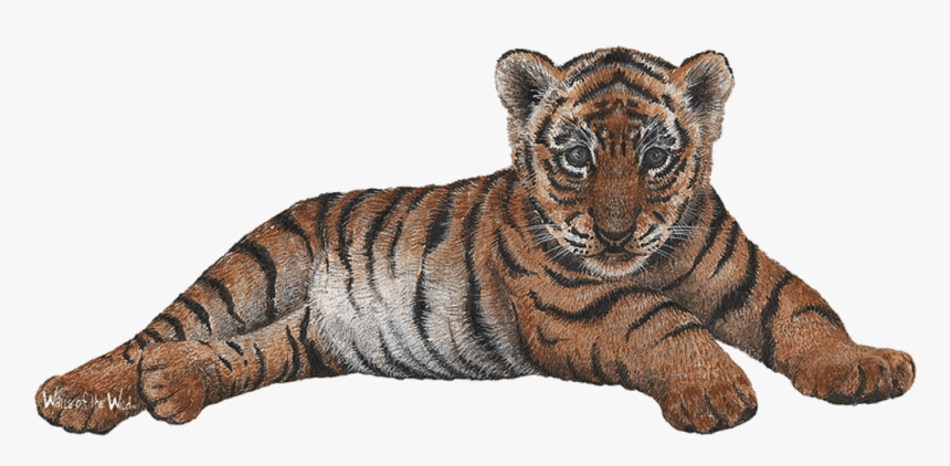 Tiger Wall Decal Sticker - Tiger With Cub Png, Transparent Png, Free Download