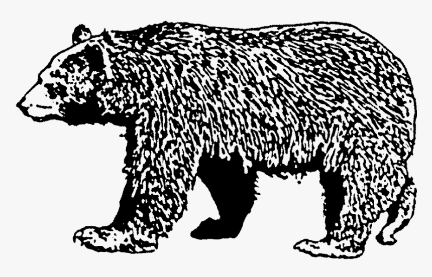 Brown Bear Rubber Stamp"
 Title="brown Bear Rubber - Bear Stamp, HD Png Download, Free Download