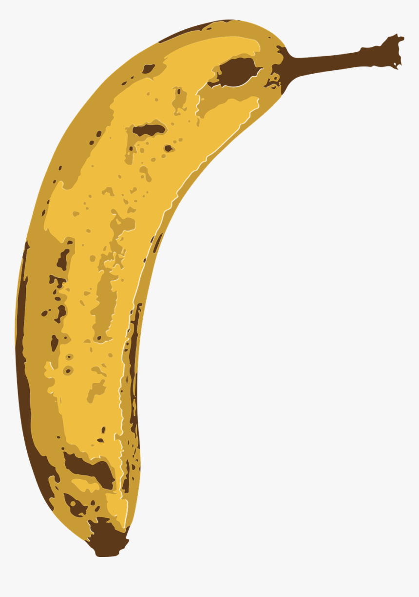 Transparent Peeled Banana Clipart - Tropical Fruit, HD Png Download, Free Download
