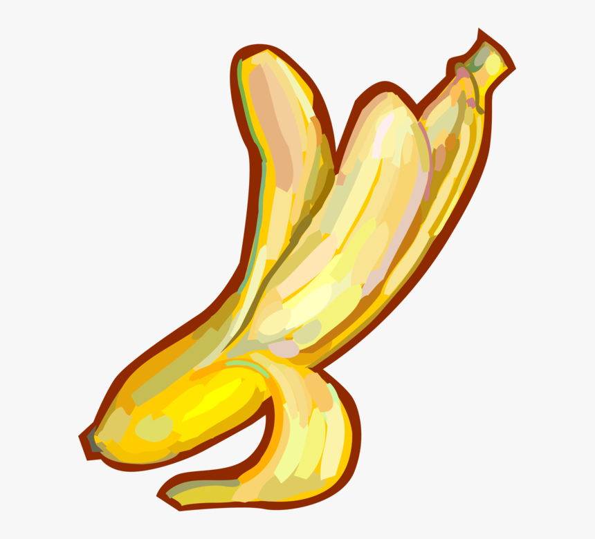 Vector Illustration Of Peeled Banana Edible Fruit - Descascada Banana Png, Transparent Png, Free Download