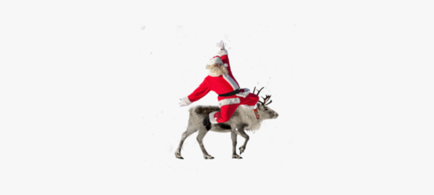 #santa #reindeer #christmas #holiday - Reindeer, HD Png Download, Free Download