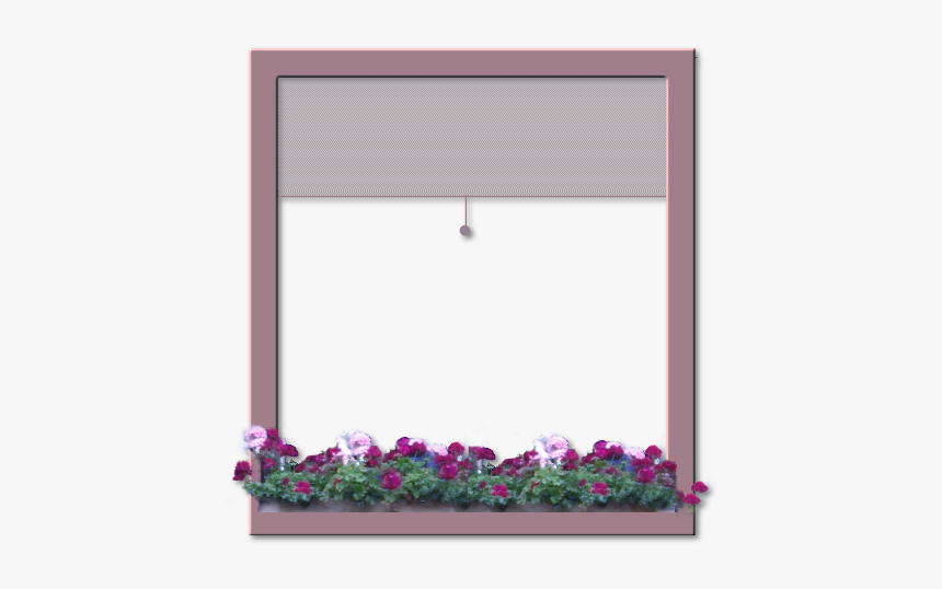 Png Window Frame Flower, Transparent Png, Free Download