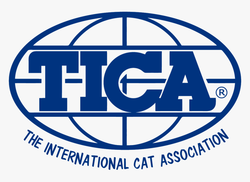 International Cat Association, HD Png Download, Free Download