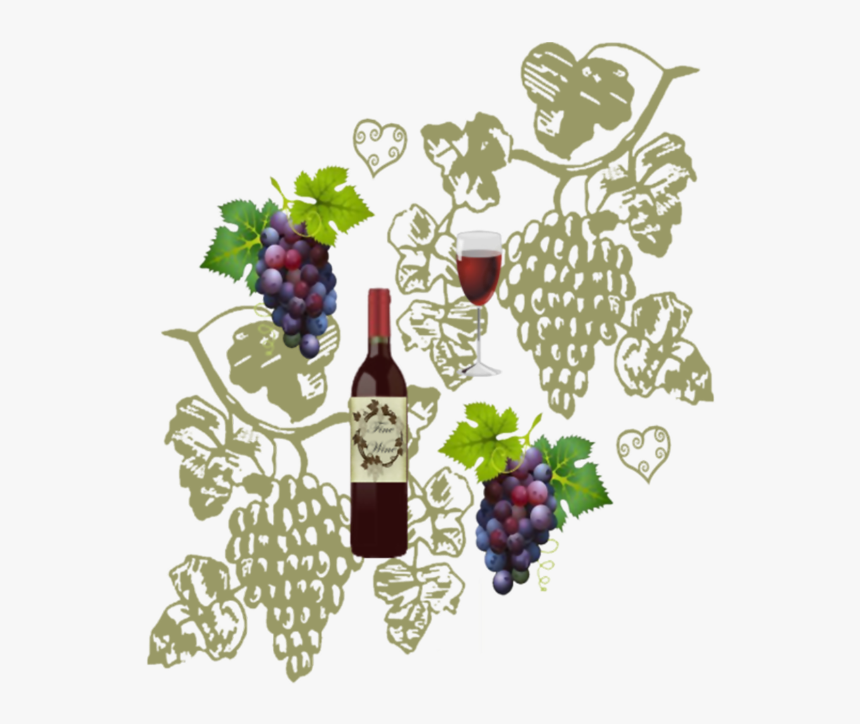 Wine And Grapes - Seedless Fruit, HD Png Download, Free Download