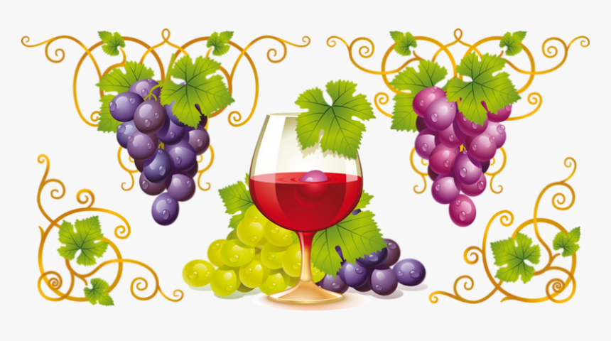 Vigne, Verre De Vin - Grappe Raisin Clipart, HD Png Download, Free Download