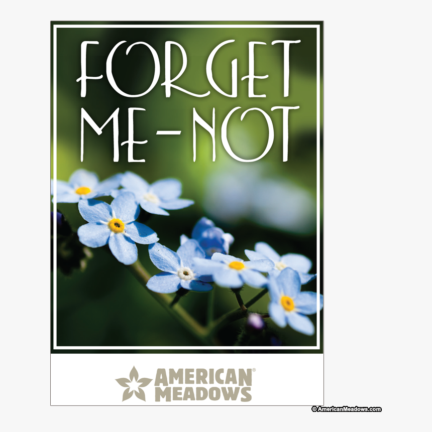 Forget Me Not Full Size Seed Packet - American Meadows, HD Png Download, Free Download