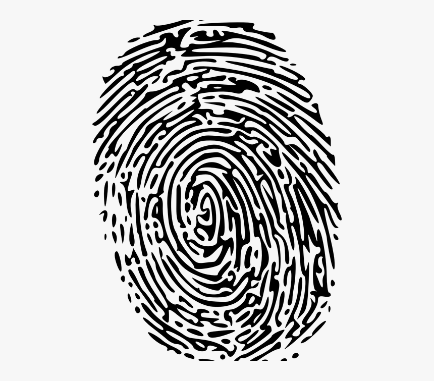 Fingerprints And Touchscreens - Transparent Finger Print, HD Png Download, Free Download