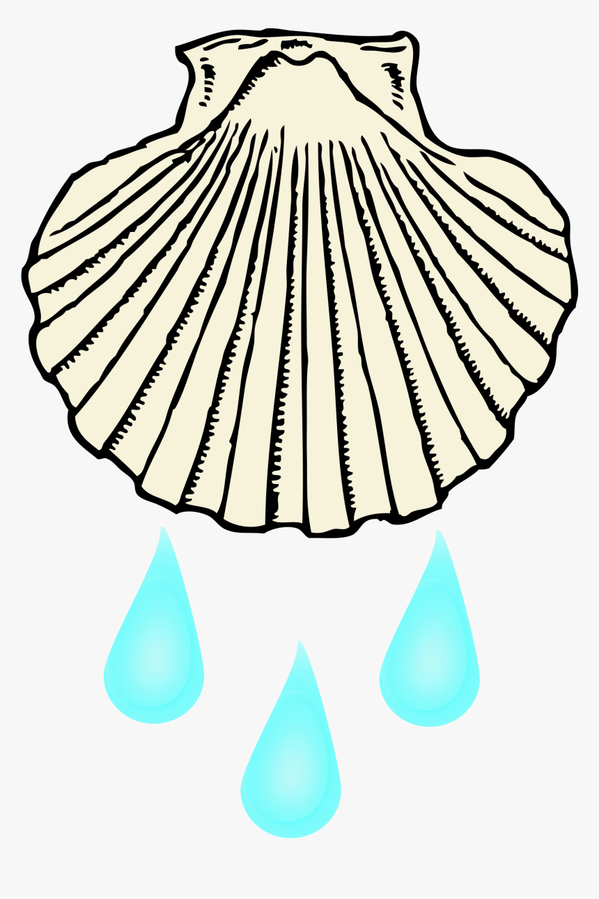 Baptismal Shell Clip Art - Shell Clipart Black And White, HD Png Download, Free Download