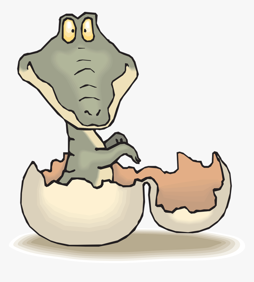 Alligator Hatching Clip Art, HD Png Download, Free Download