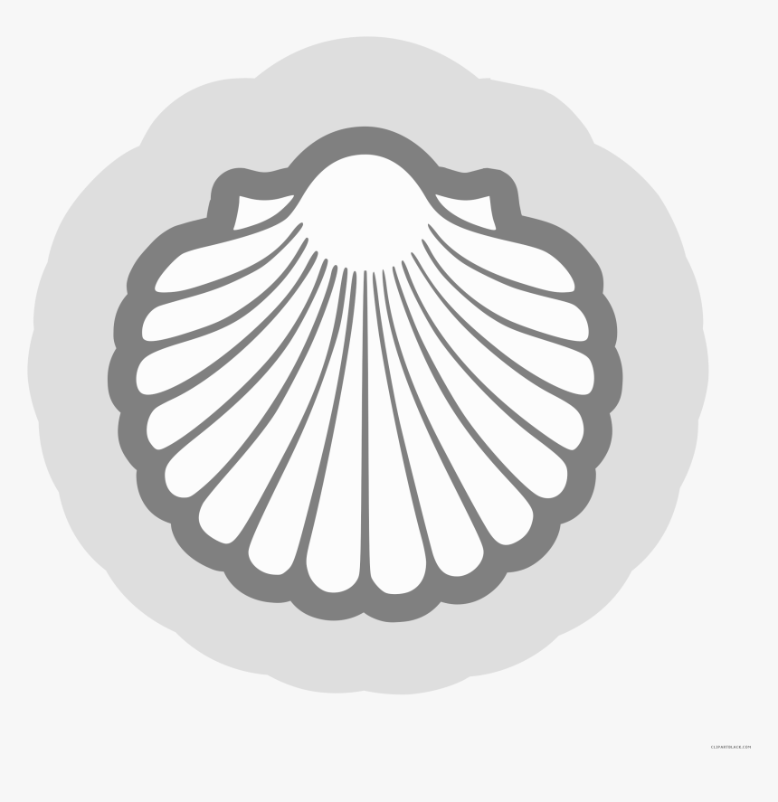 Shell Vector Png - Vector Scallop Shell, Transparent Png, Free Download