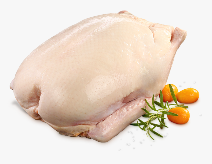 Fresh Duck Meat, HD Png Download, Free Download