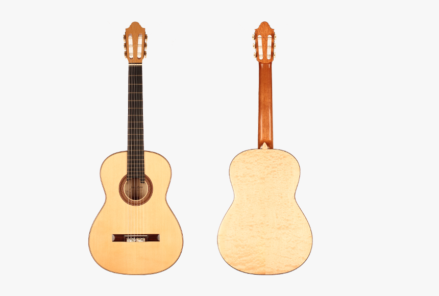 Acoustic Guitar, HD Png Download, Free Download