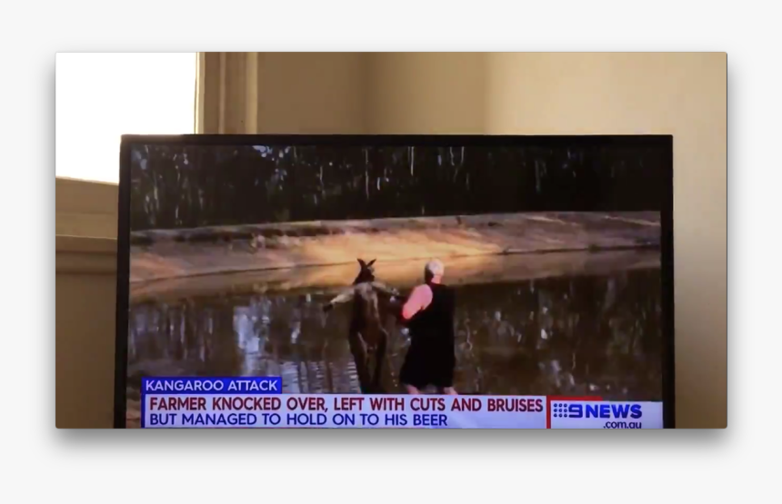 Plywood, HD Png Download, Free Download