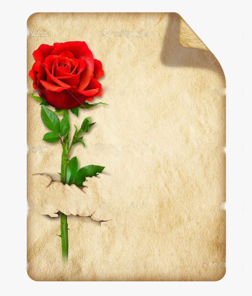 Good Night Rose Image In English, HD Png Download, Free Download