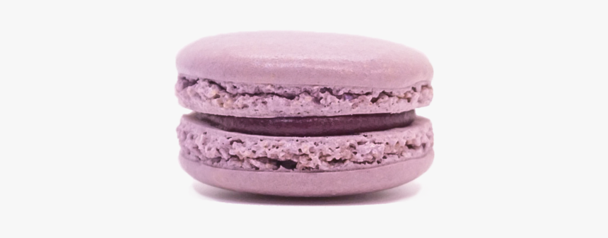 Blackcurrant - Macaroon, HD Png Download, Free Download