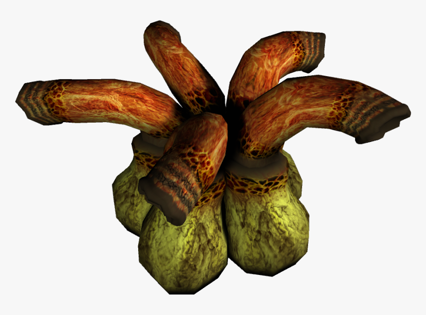 Hyrule Conquest - Gourd, HD Png Download, Free Download