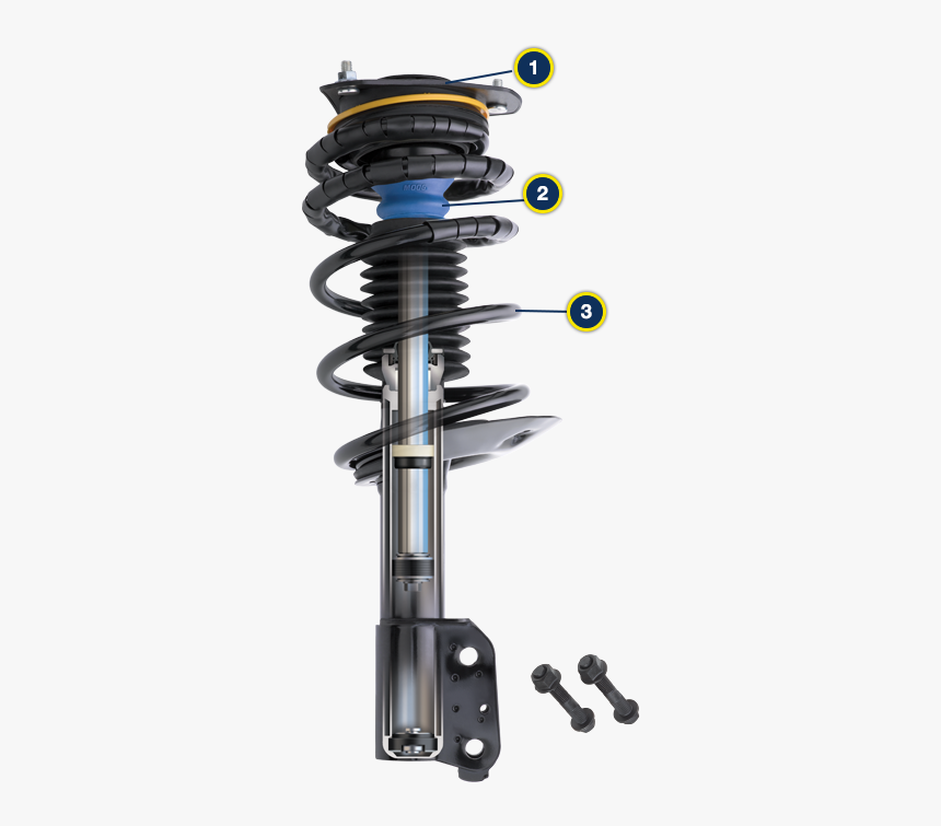 Moog Complete Strut Assemblies Product Detail - Strut Assembly, HD Png Download, Free Download