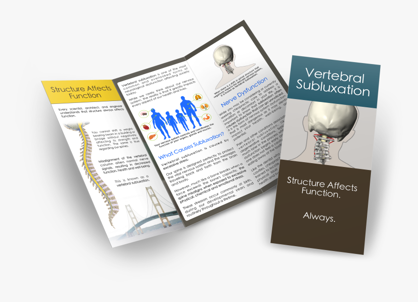 Vertebral Subluxation Brochure - Brochures Or Handouts, HD Png Download, Free Download