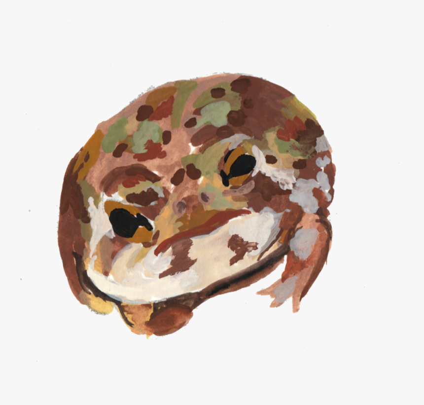 Frogs6, HD Png Download, Free Download