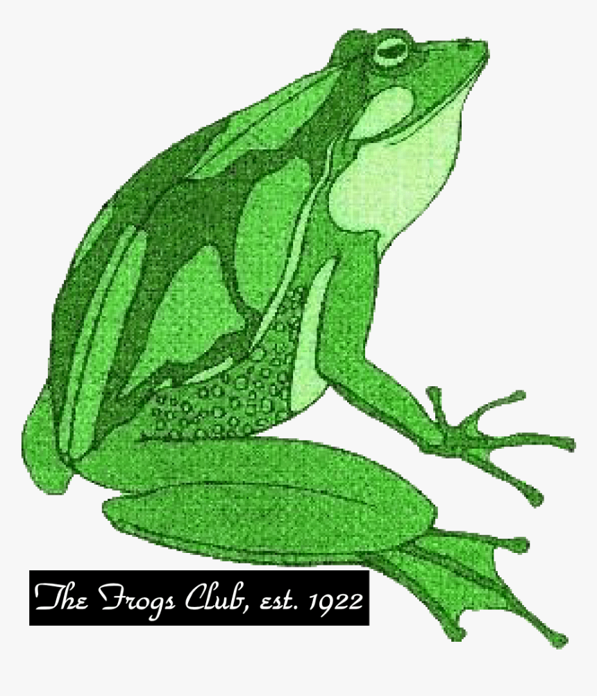 The Frogs , Png Download - Bufo, Transparent Png, Free Download