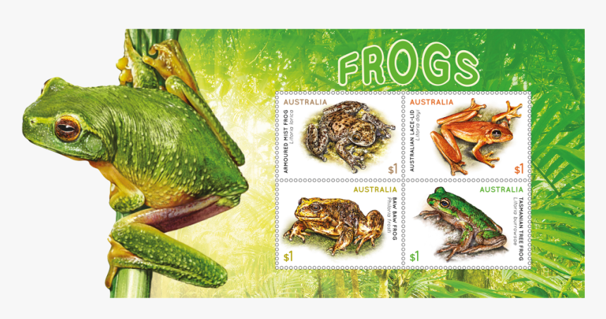 Transparent Tree Frog Png - 2018 Australian Stamps Frogs, Png Download, Free Download